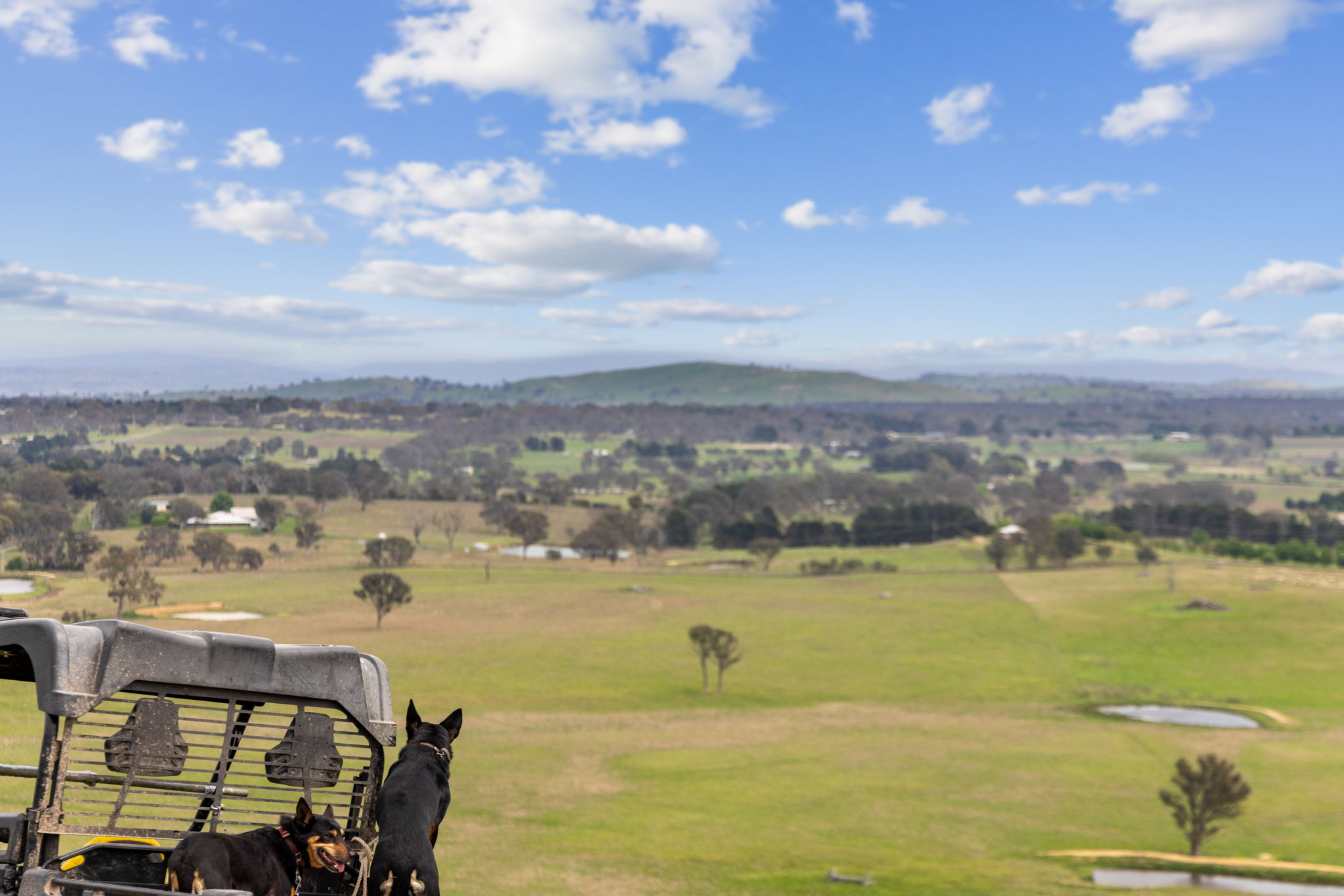 Retirement paves the way for major investment in Canberra's wine region